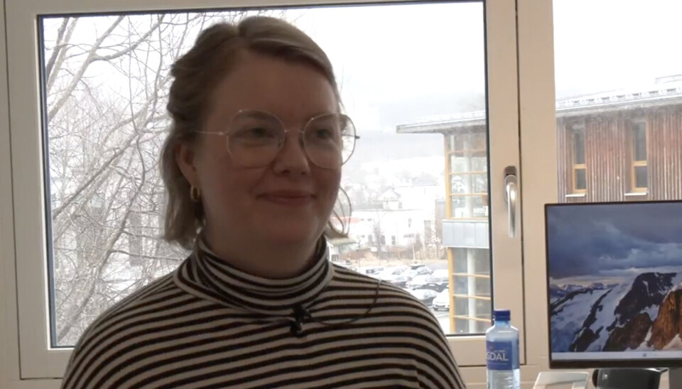 KRITISK: Sætre mener forslaget til Høyre er en svekkelse av sidemålsordninga.
