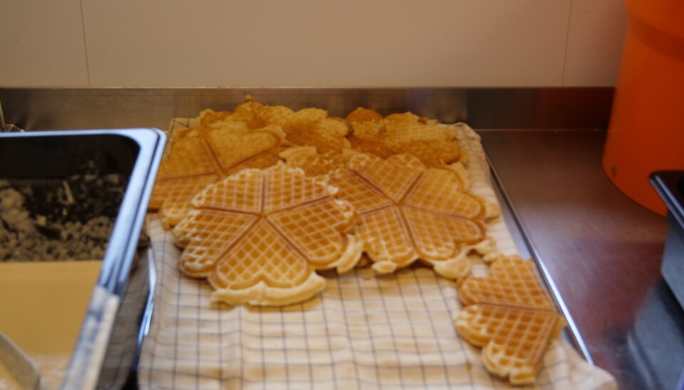 MASSE VAFLER: Deilige vafler fra kantina på Høgskulen i Volda på vaffeldagen.