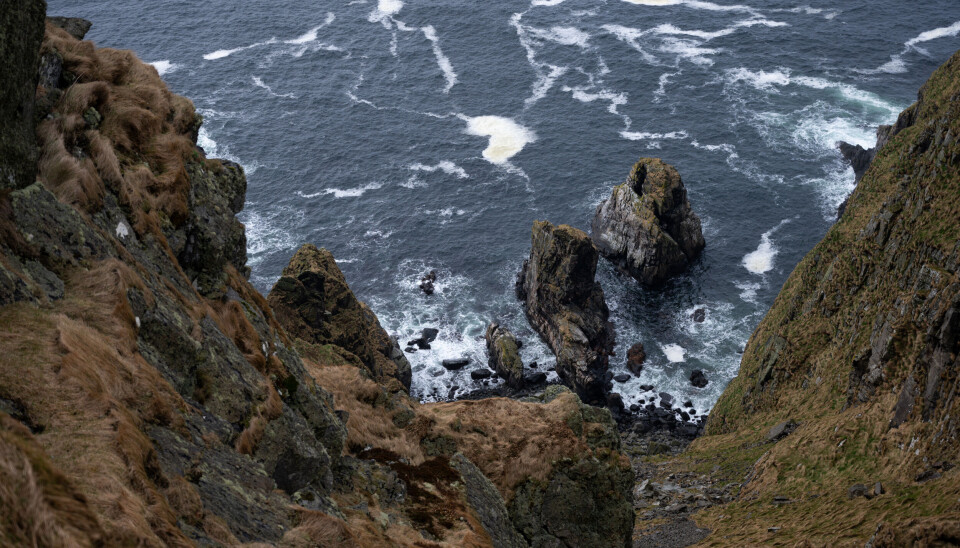 FUGLEFJELLET: Om dagen er Lundefuglen ute å fanger fisk.