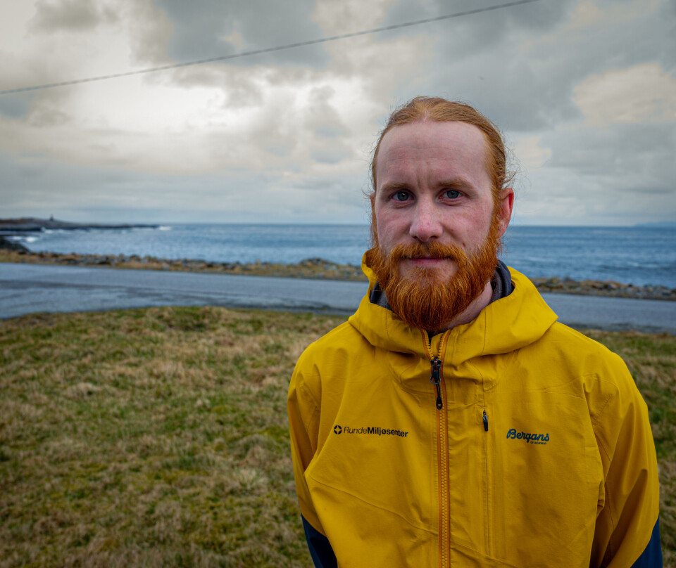 GUIDE: Johannes Madsen leder turister opp på Rundefjellet.