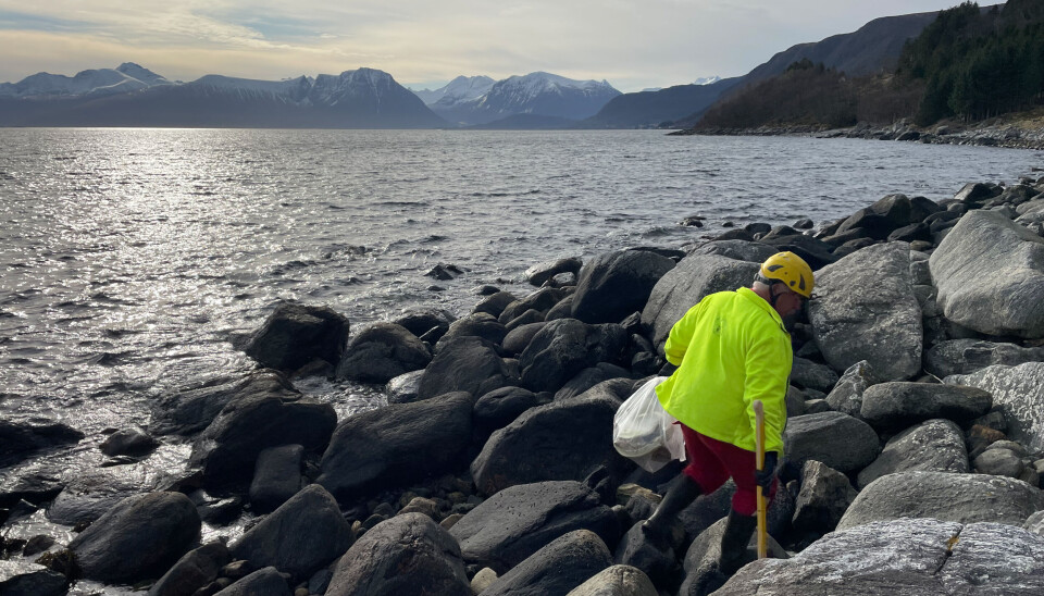 SYNLIG: Med de røde kjeledressene, gule hjelmer og jakker er rydderne godt synlige langs kysten.