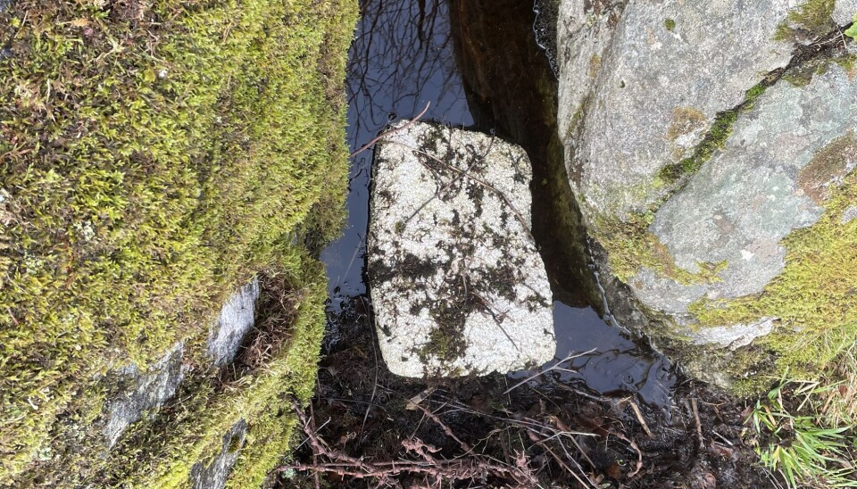 UVELKOMMEN: Isopor er ikke nedbrytbart og sprer mikroplast i havet.