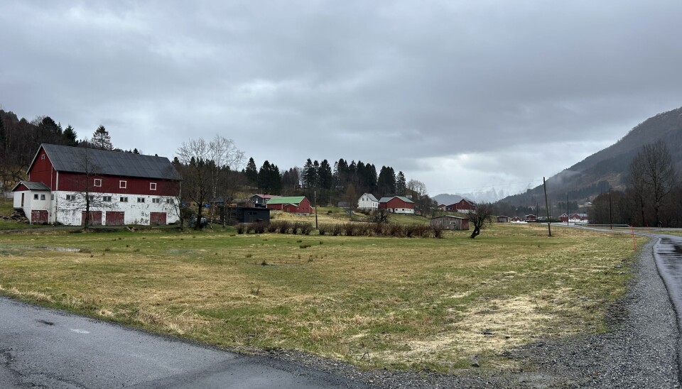 Det er vedtatt av Ørsta kommune at det skal bygges boligfelt på området Fremre Mo