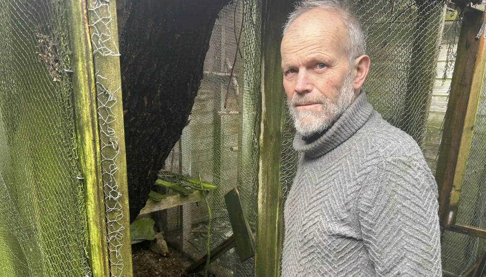 FOSTERFAR: Alv Ottar Folkestad tar hånd om Gina.