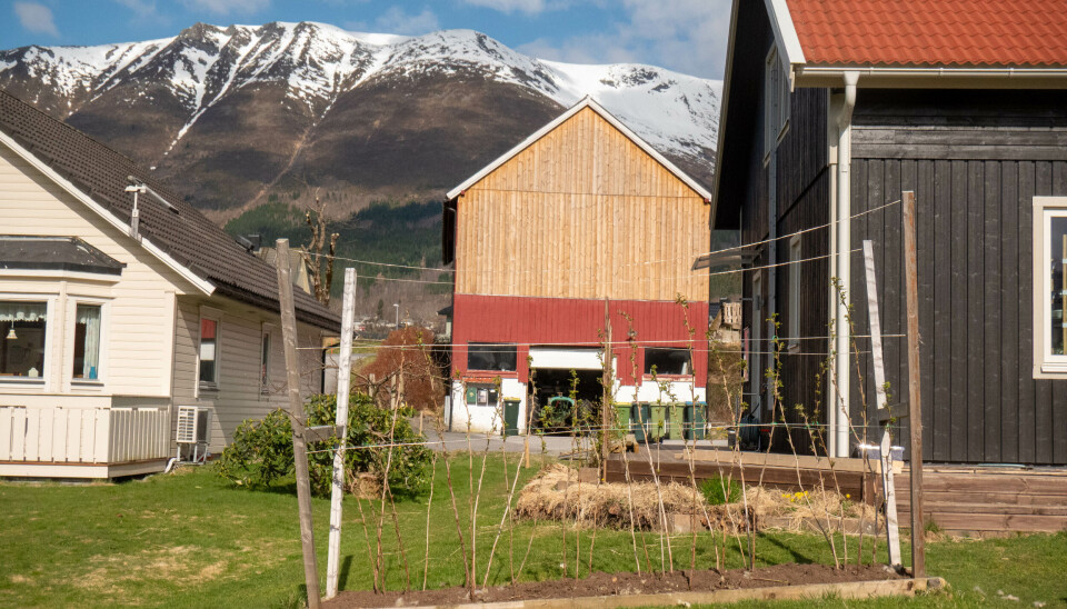 ØRSTA SIRKELHAGE: Midt i Ørsta sentrum ligger det en stor hage, der det er åpent for at man kan være med å dyrke.