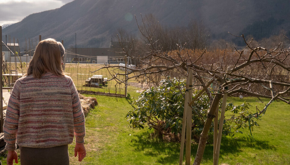 HAGEN: Sirkelhagen har utsikt over Ørsta-fjellene