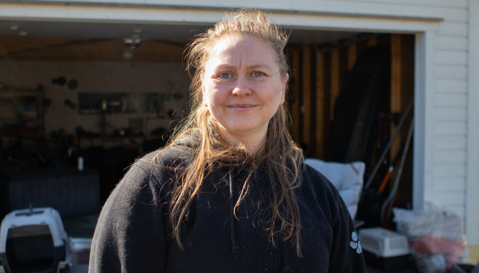 ÅPNER HJEMMET: Silje tar stadig vekk inn katter som trenger et hjem. Hun er fostermor frem til kattene finner sitt for-alltid-hjem.