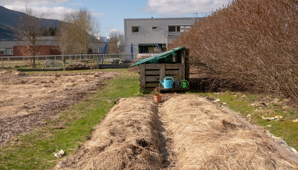 KOMPOST: et viktig element i hagens naturlige kretsløp