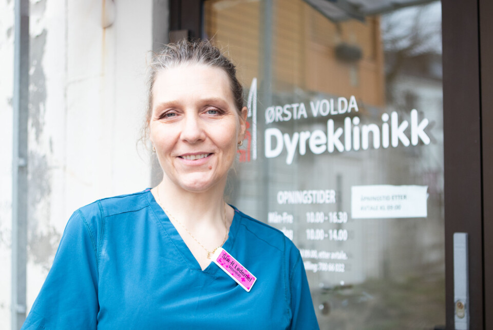 POSITIV UTVIKLING: Siv Lødemel håper på at folk i Ørsta Volda-området fortsetter å kastrere kattene sine