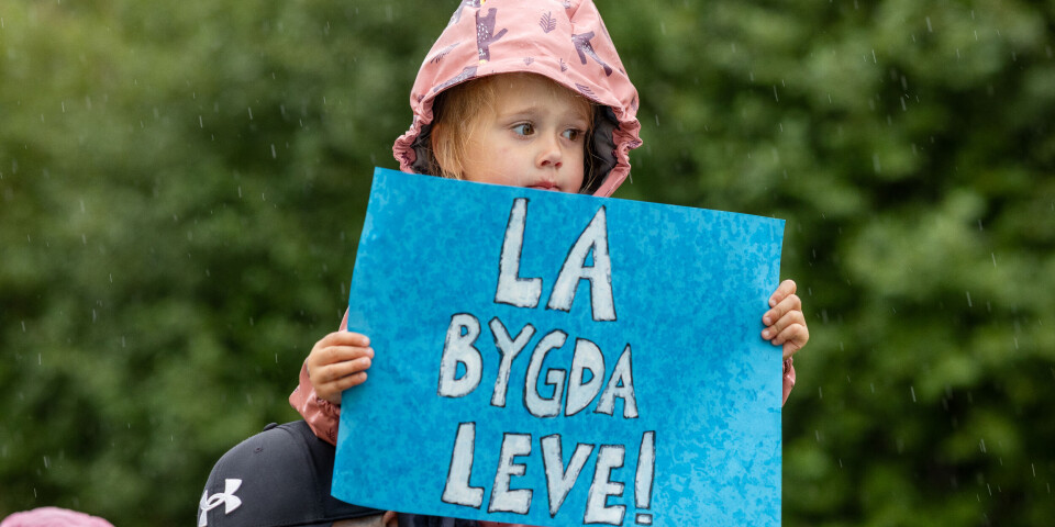 Kjemper for Haddal skule