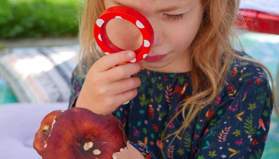 Alma (6) undersøker en Kremle.