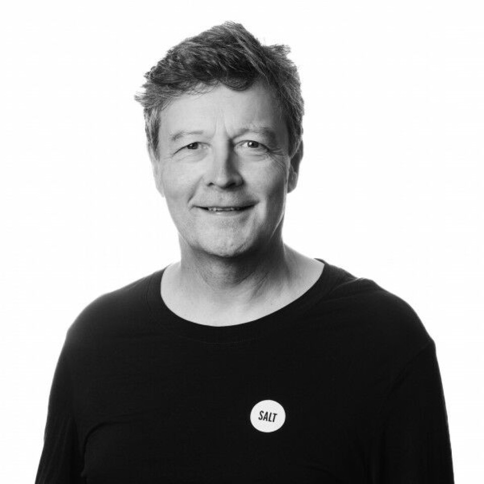Snorre Sklet, Seniorrådgiver i SALT