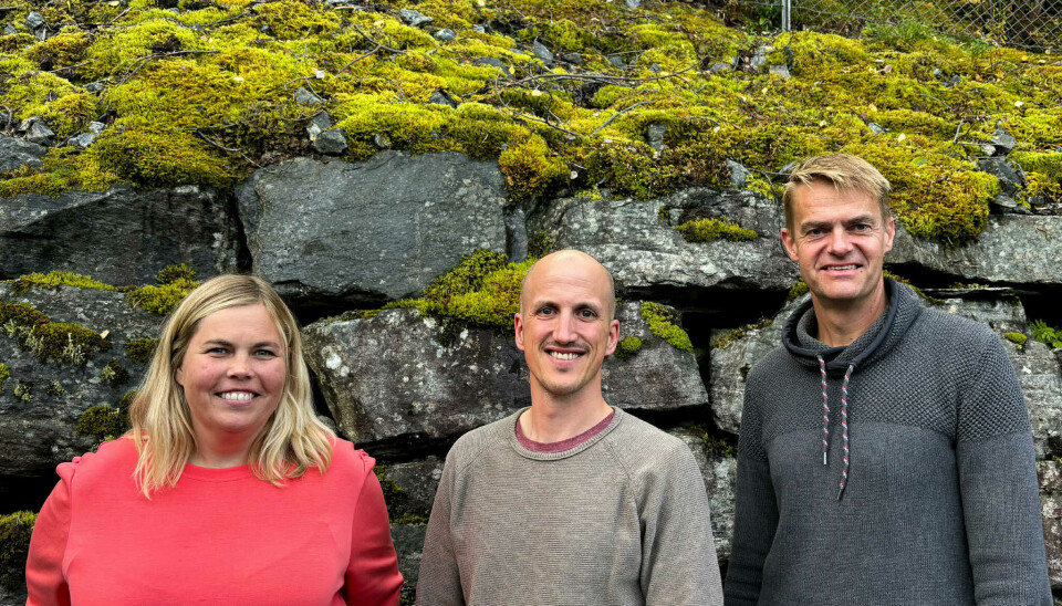 F.v.: Anne Mette Farstad, Bjarne Solbakken og Hans Peter Eidseflot startet med prosjektet i 2023, og har endelig fått midler til gjennomføring.