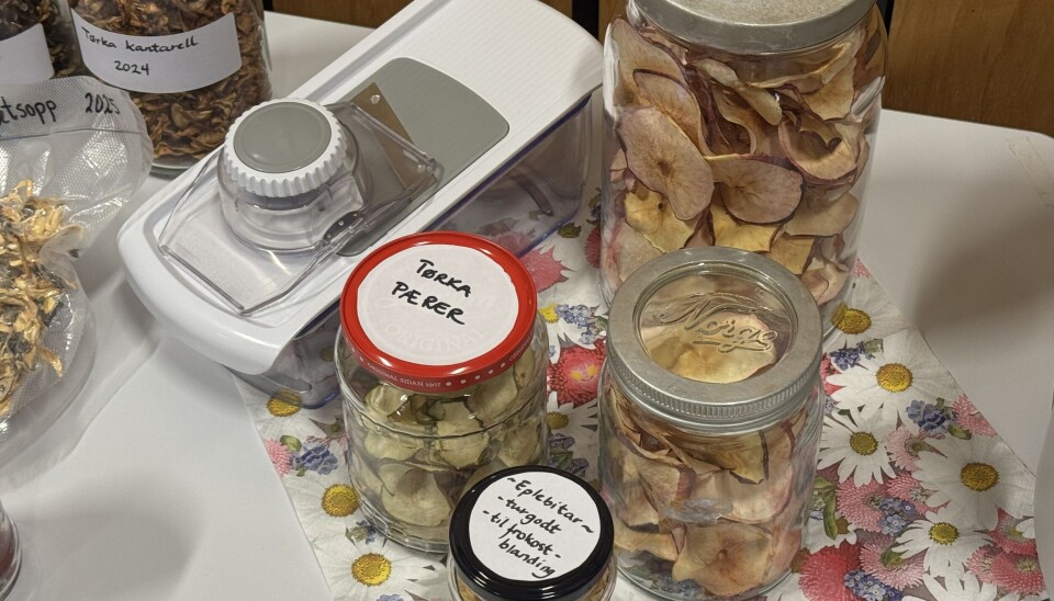 TØRKET FRUKT: