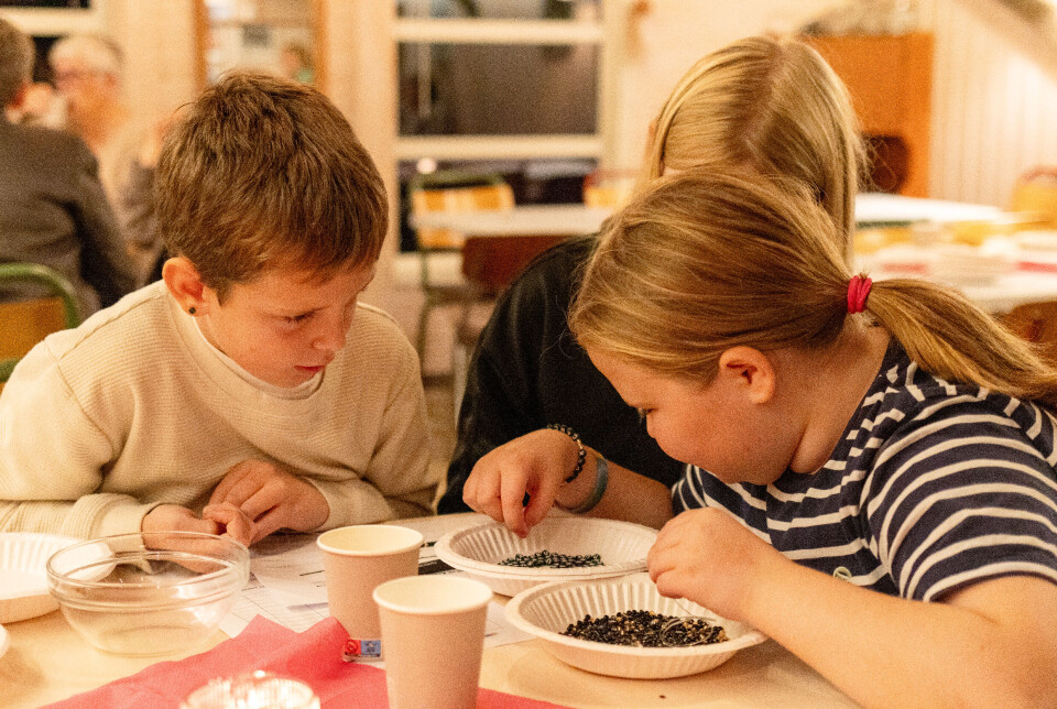 HJELPER MED VENNER: — Jeg trenger en C, sier Oliver. Det er ikke så lett å finne de rette bokstavene blant mange perler, men med litt hjelp fra Emma og Mathilda finner de dem lett.