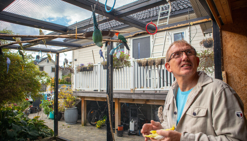 Hagen til Asgeir rommer en gjeng litt utenom det vanlige.