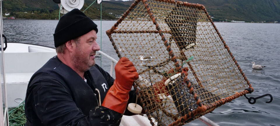 Ragnar i krepseparadiset
