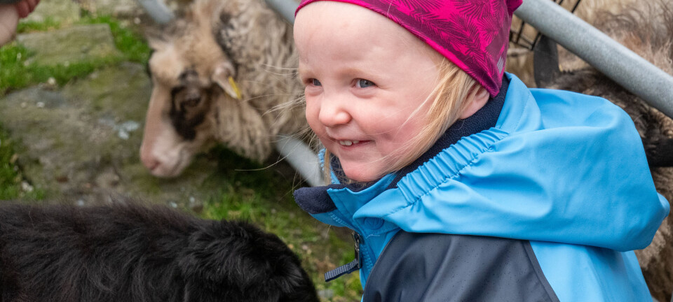 En plass for nærkontakt med dyr