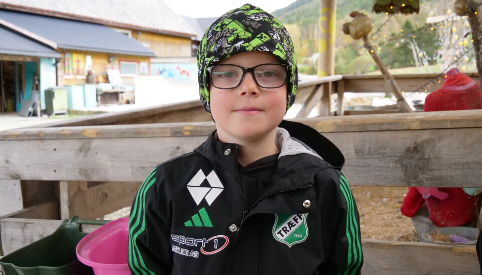 Edvin hilste på alle dyrene under besøket sitt på gården. Hvis han kunne, hadde han tatt med seg en høne hjem.