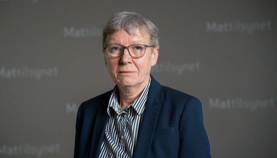TALL ØKER UNDERVEIS: Fungerende avdelingsleder for avdeling sjø hos Mattilsynet, Aud Skrutland, forteller at tallene de får innsendt fra anleggene er et øyeblikksbilde. Ofte er dødeligheten betydelig større.