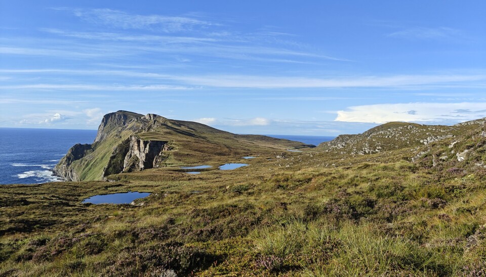 HERØY: Fuglefjellet på Runde er et populært mål for naturinteresserte på Sunnmøre.